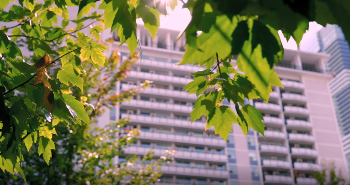 Trees in front of Greenrock's Village Green apartments