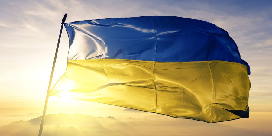 Ukraine Flag